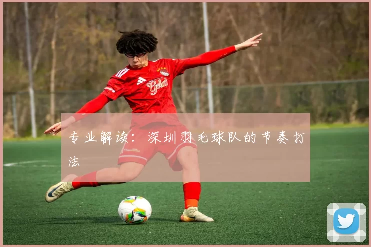 专业解读：深圳羽毛球队的节奏打法