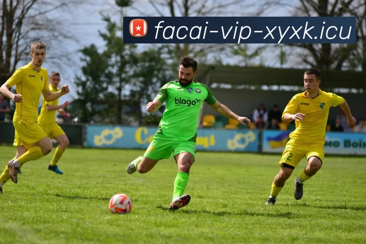 九游体育服务体系